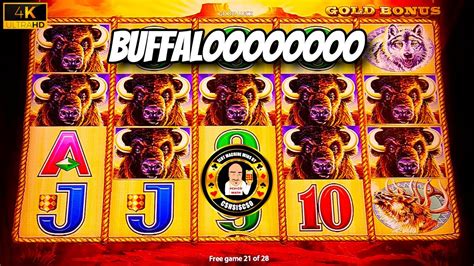 how to win buffalo gold slot machine|buffalo slot machine rules.